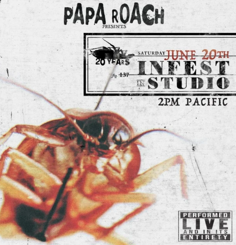 paap-roach-infest-instudio