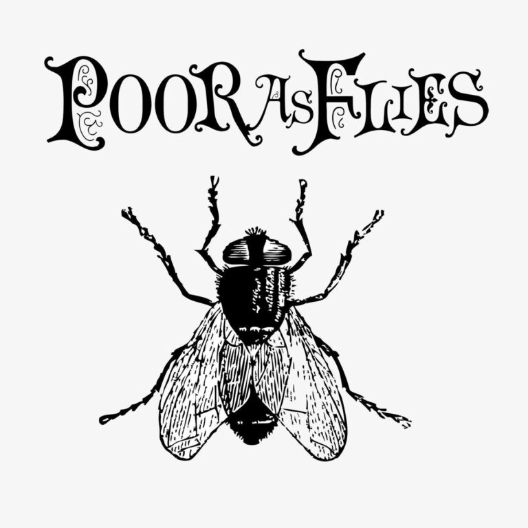 Poor as flies st