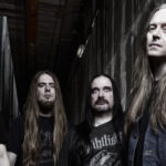 carcass