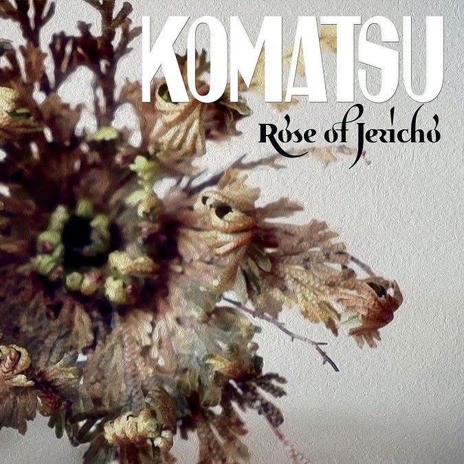 komatsu-rose-of-jericho