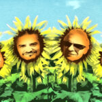 Tomahawk_Sunflowers_Color_Brighter_-_credit_Eric_Livingston