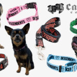 caninus-collars