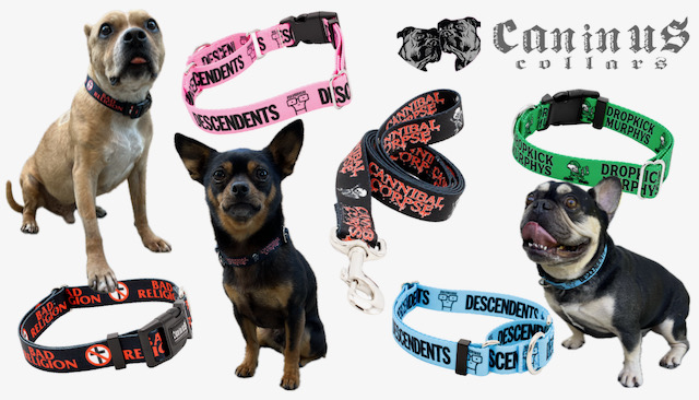 caninus-collars