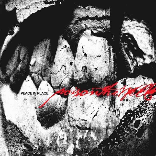 poison the well peace in place album cover