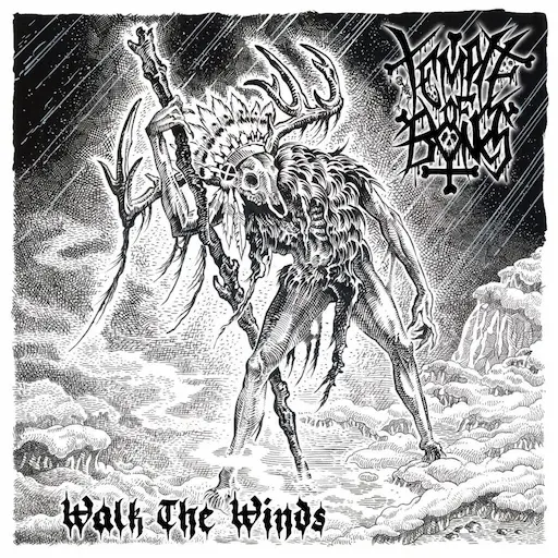 temple of bones band walk the winds